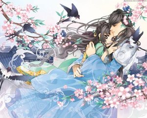 打扑克又痛又叫原声